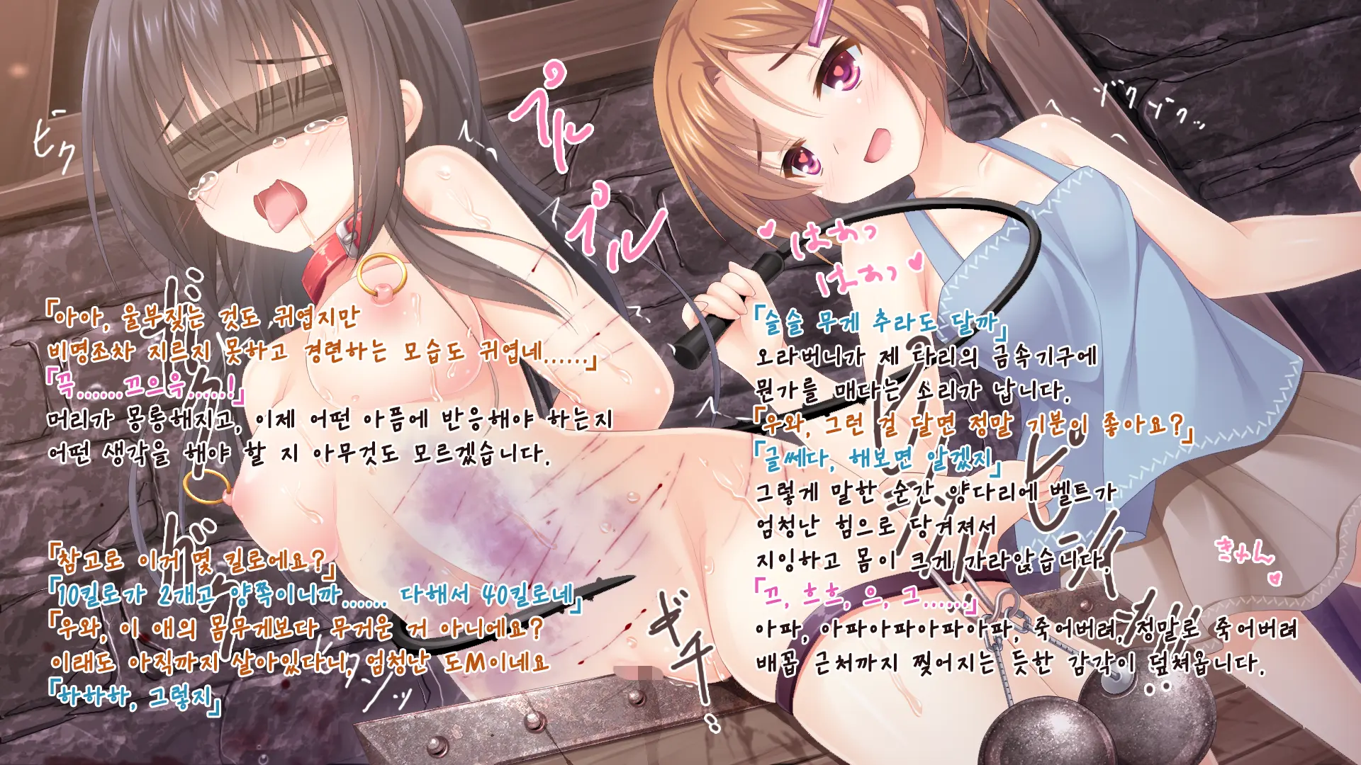 Gyakutaiyou Seidorei No Imouto.